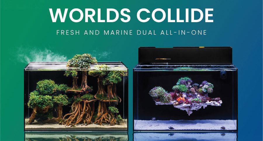 NEW Fresh and Marine Dual All-In-One Aquariums from Ultum Nature Systems