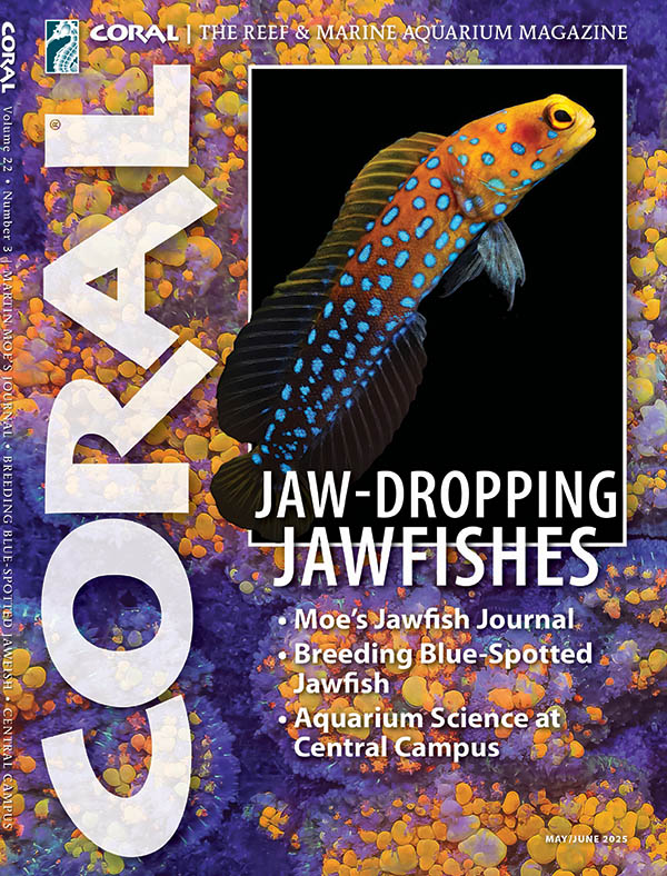 JAW-DROPPING Jawfishes: The forthcoming May/June 2025 issue of CORAL Magazine.