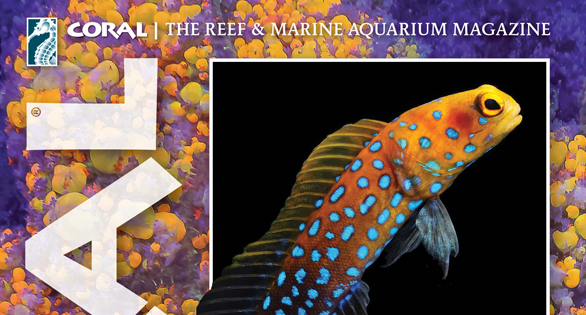 CORAL Magazine Table of Contents May/June 2025
