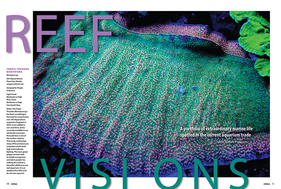 Reef Visions, CORAL Magazine, May/June 2025.