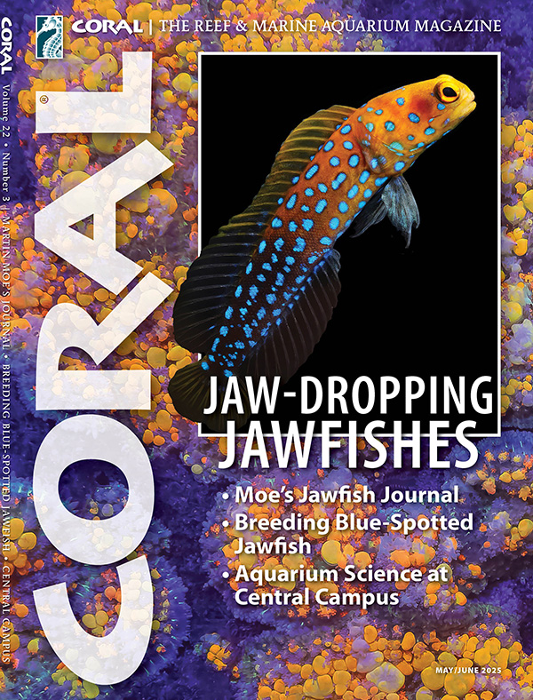 CORAL Magazine Volume 18, Issue 3, Host Anemones