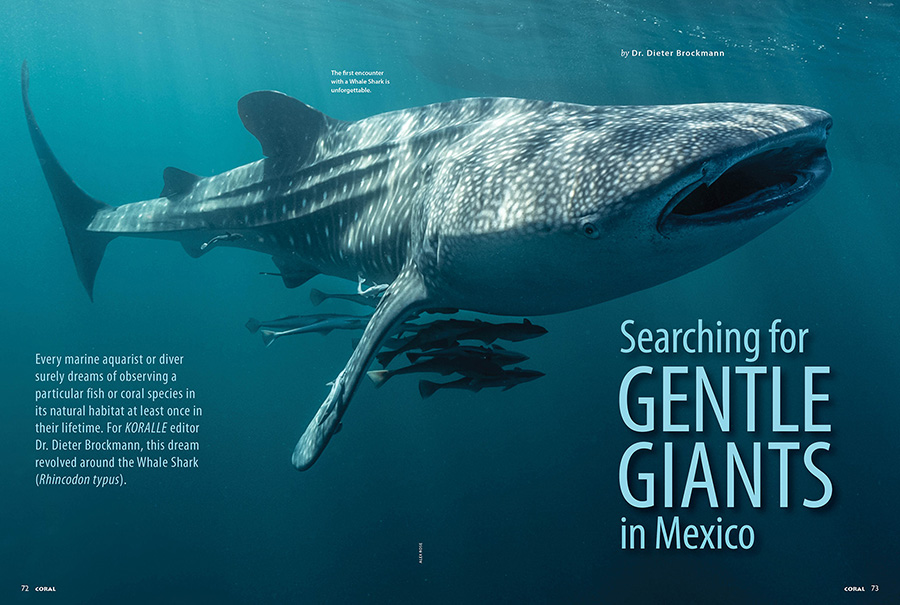 Searching for Gentle Giants in Mexico, by Dr. Dieter Brockmann, CORAL Magazine, May/June 2025.