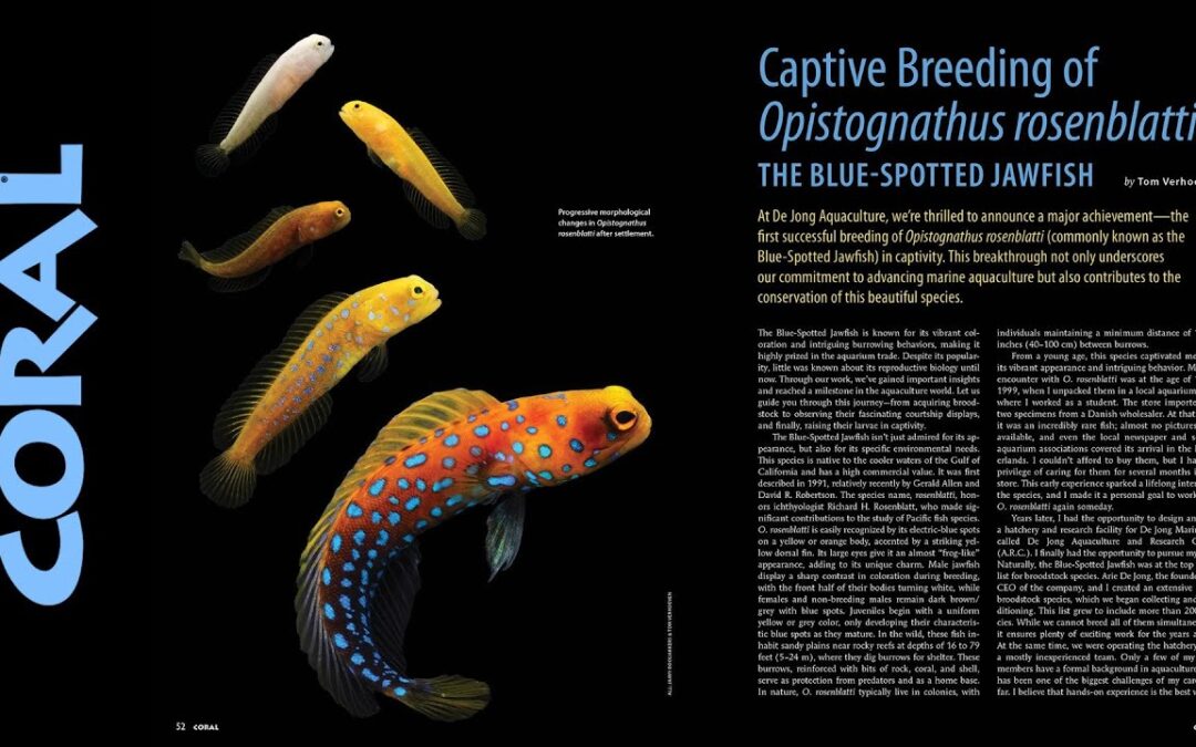 VIDEO Inside Look: CORAL Magazine “JAW-DROPPING JAWFISHES”