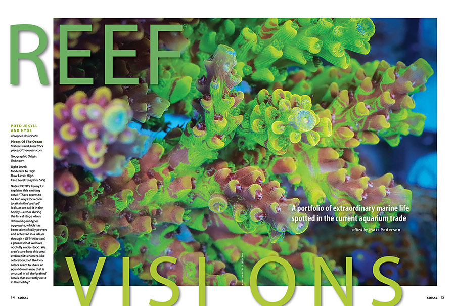 Reef Visions, CORAL Magazine, July/August 2025.