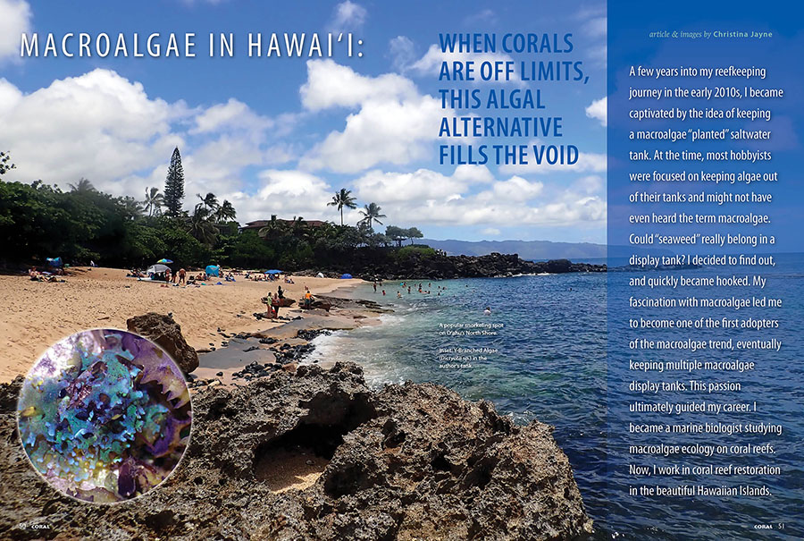 Macroalgae in Hawai'i: When Corals Are Off Limits, This Algal Alternative Fills The Void, by Christina Jayne, CORAL Magazine, July/August 2025.