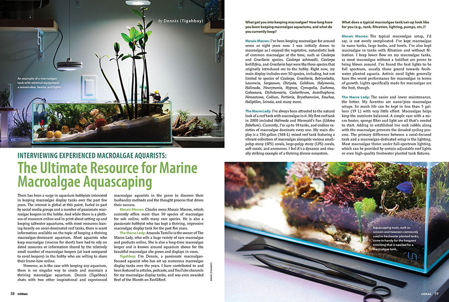 Interviewing Experienced Macroalgae Aquarists: The Ultimate Resource for Marine Macroalgae Aquascaping, appears in the July/August 2025 issue of CORAL Magazine, AQUASCAPING WITH ALGAE!