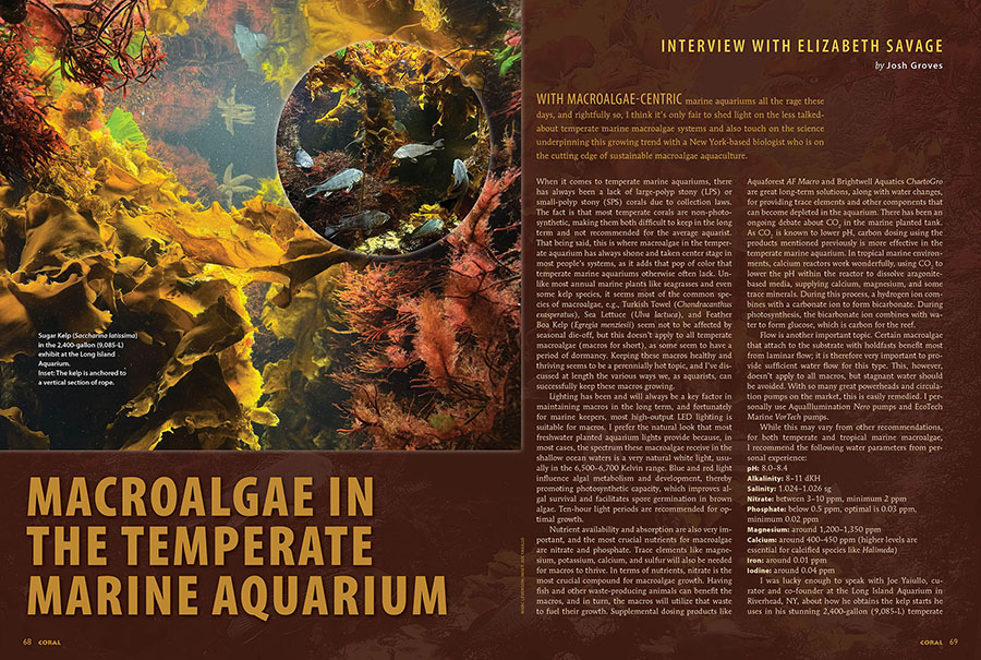 Macroalgae In The Temperate Marine Aquariums, by Josh Groves with Elizabeth Savage, CORAL Magazine, July/August 2025.