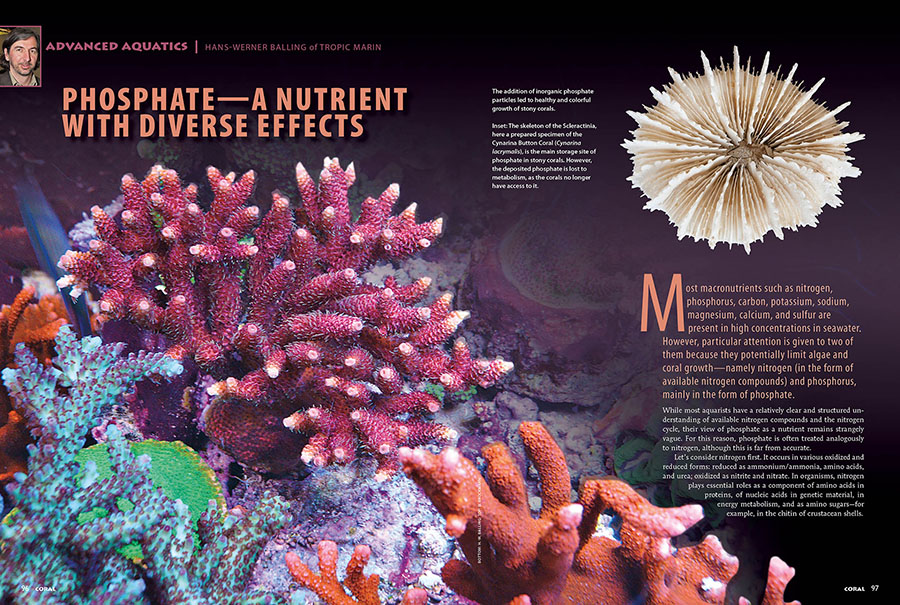 Phosphate—A Nutrient with Diverse Effects, by Hans Werner Balling of Tropic Marin, CORAL Magazine, July/August 2025.