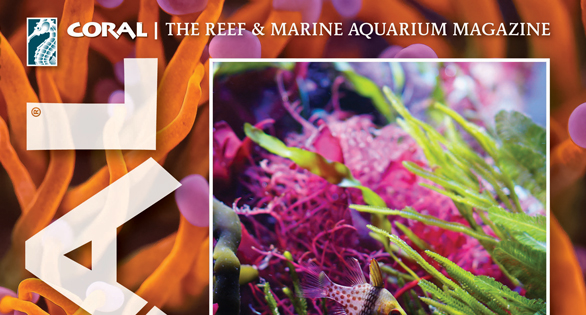 CORAL Magazine Table of Contents July/August 2025