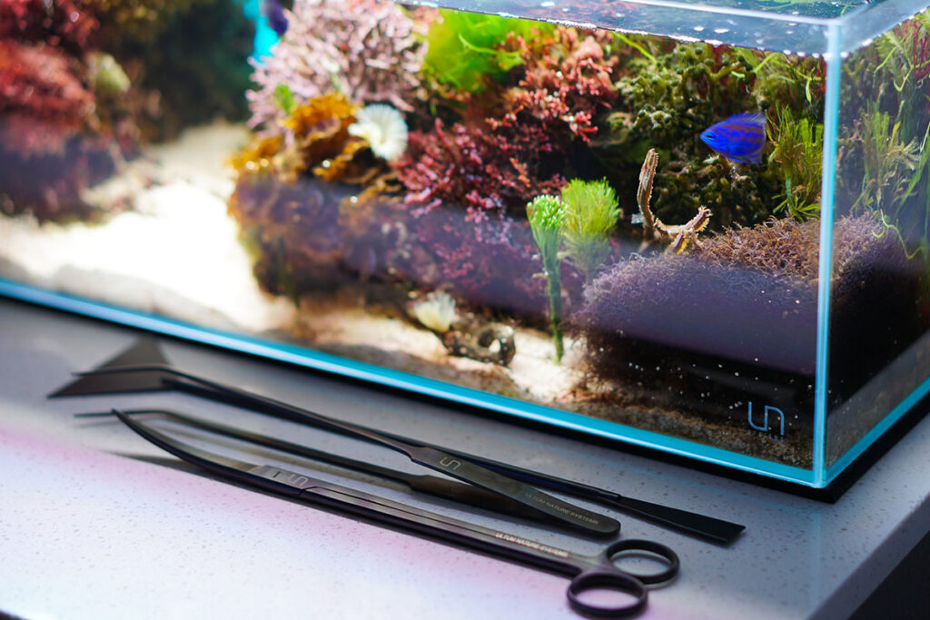 Aquascaping tools, such as scissors and tweezers commonly used in freshwater planted tanks, come in handy for the frequent trimming that is needed for a macroalgae tank. Image credit: Dennis (Tigahboy)