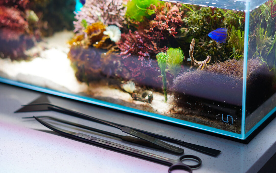 CORAL Magazine Excerpt: The Ultimate Resource for Marine Macroalgae Aquascaping