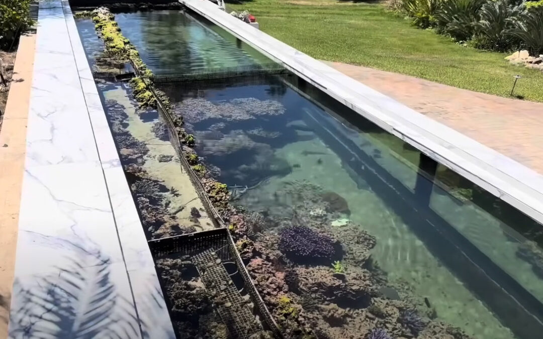 Video: Backyard Ocean is a new, 13,000-gallon Outdoor Reef Aquarium