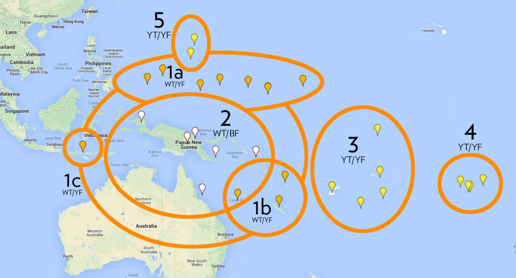 From 2014: A final plot showing all the phenotypic groups of Blue Stripe Clownfish. Group 1a includes the type location for Amphiprion chrysopterus in Palau. 1b is another WT/YF population to the south, sandwiched between 2 and 3, and includes the possible overlap of two forms somewhere in the Coral Sea. 1c is the dubious/suspect photo record of A. chrysopterus in Komodo, Indonesia, where it likely doesn’t belong. 2 is the Blackfooted, or White Tail / Black Fin form from “Melanesia”. 3 is the classic YT/YF form found in Fiji and Tonga. 4 is the YT/YF/NB group found at the far east of the range, with 5 being a far separated YT/YF population to the north. – map via Google Maps, plot by Matt Pedersen