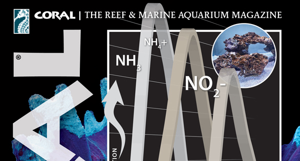 CORAL Magazine Table of Contents September/October 2025