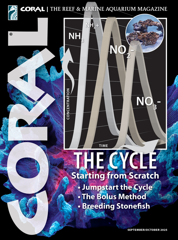 CORAL Magazine Volume 18, Issue 3, Host Anemones
