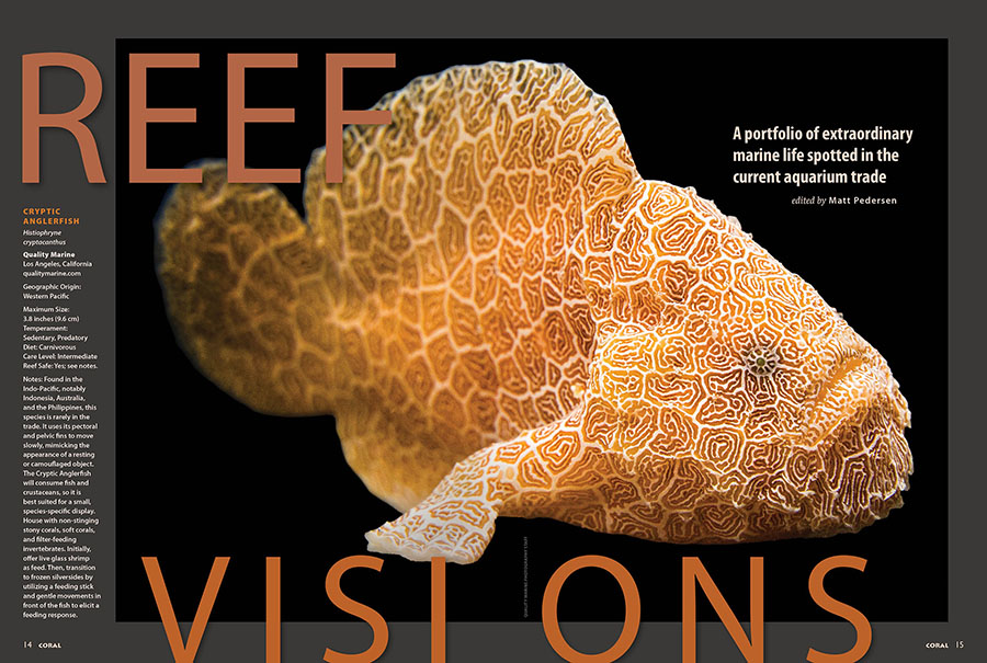 Reef Visions, CORAL Magazine, September/October 2025.