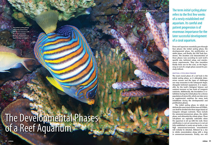 The Developmental Phases of a Reef Aquarium, by Dr. Dieter Brockmann, CORAL Magazine, September/October 2025.