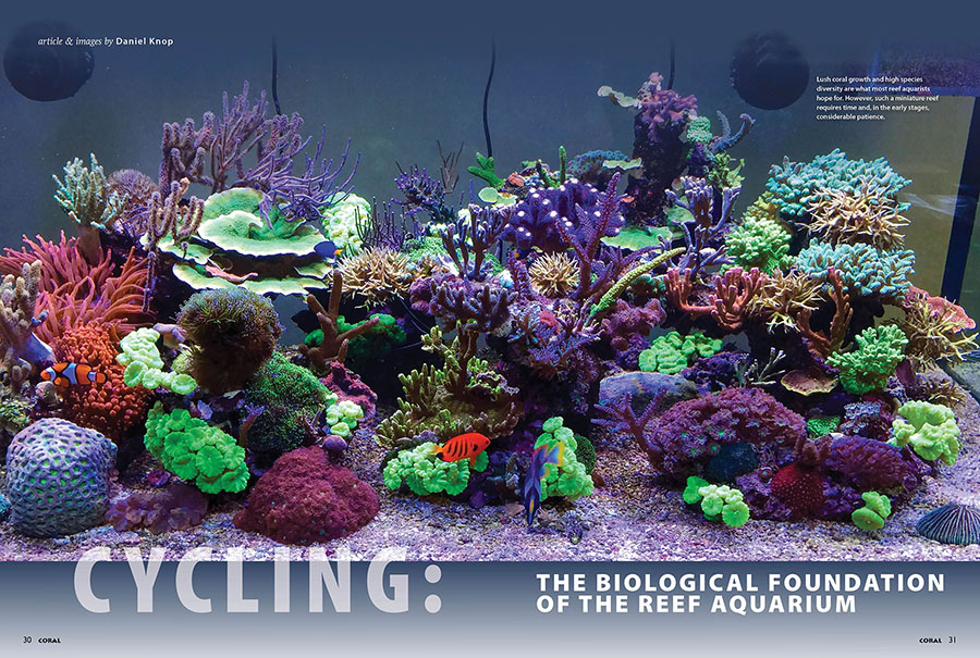 CYCLING: The Biological Foundation of the Reef Aquarium, by Daniel Knop, in the September/October 2025 issue of CORAL Magazine.