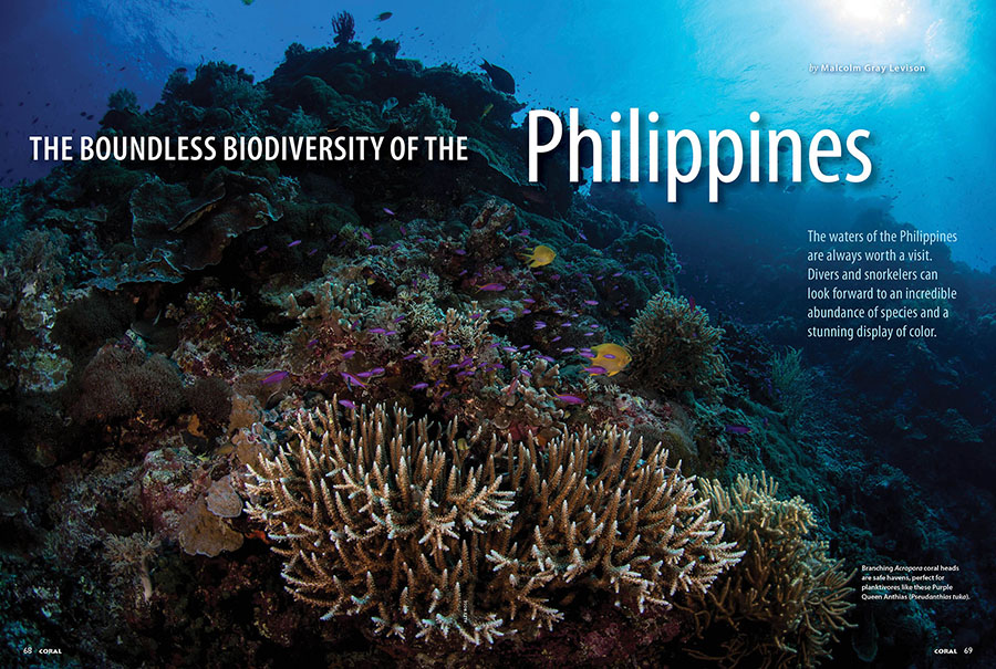 Travel: The Boundless Biodiversity of the Philippines, by Malcolm Gray Levison, as shared in the September/October 2025 issue of CORAL Magazine.