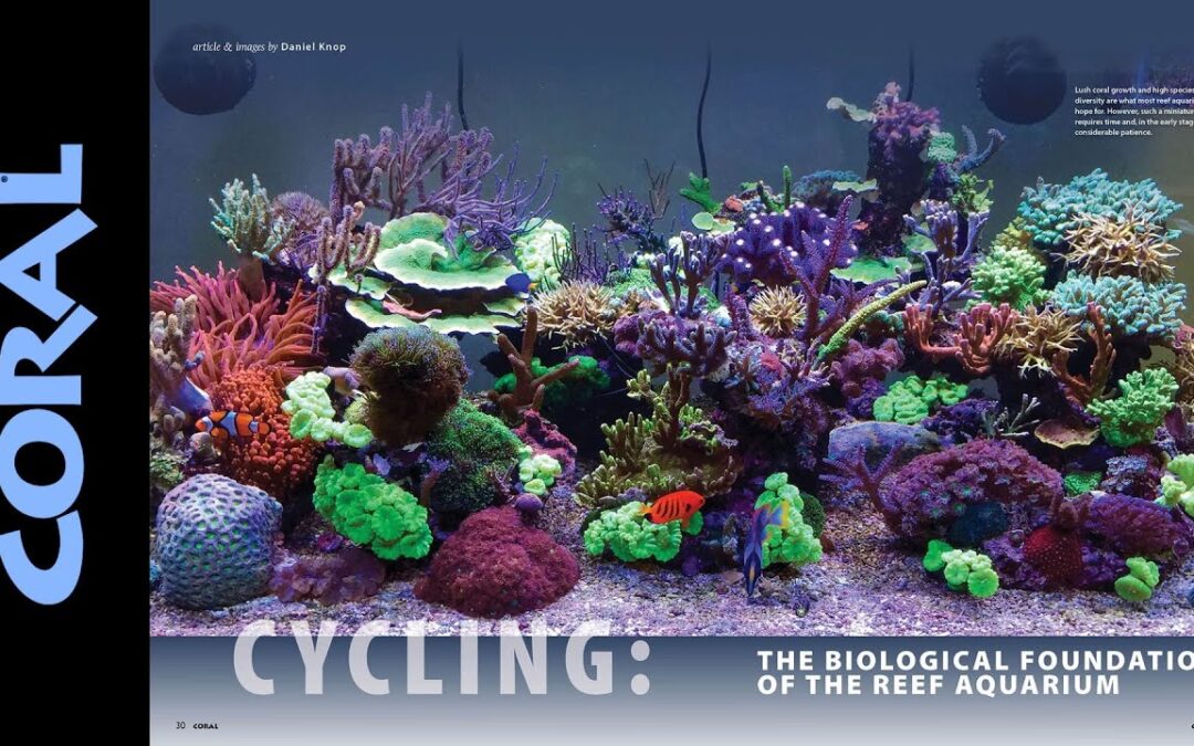 VIDEO Inside Look: CORAL Magazine “THE CYCLE”