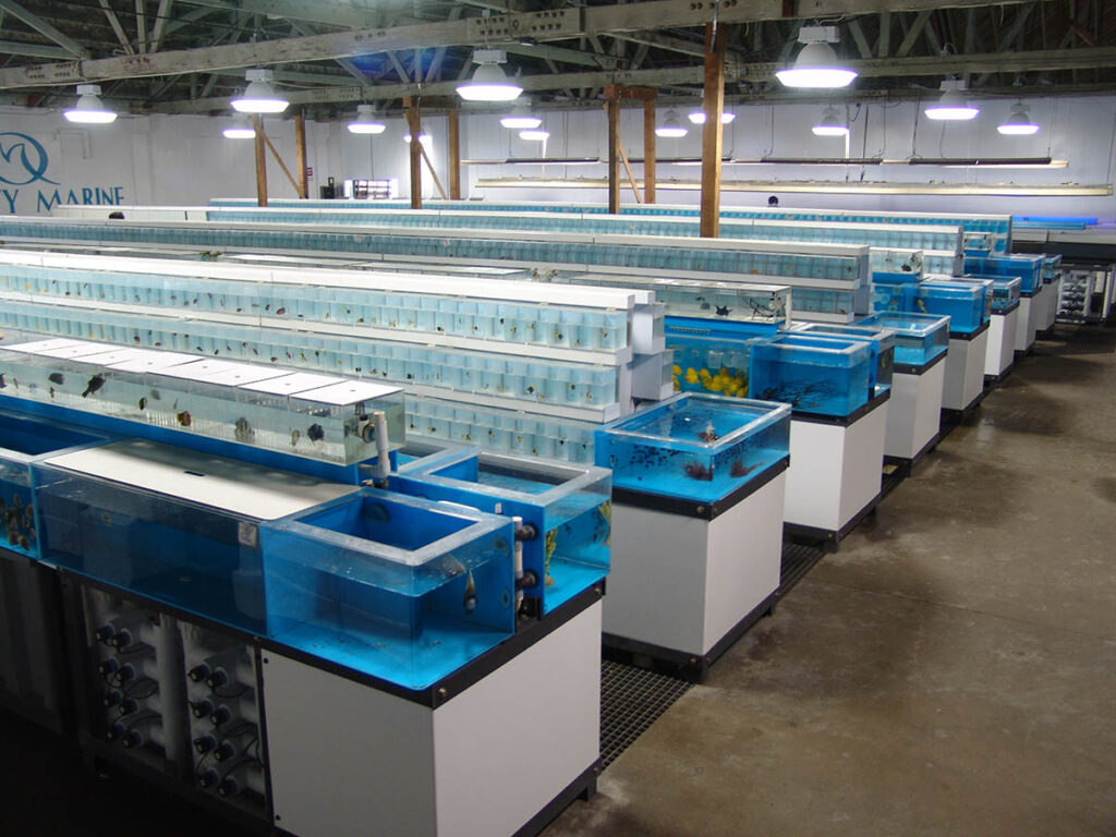 Inside the facilities at Quality Marine.