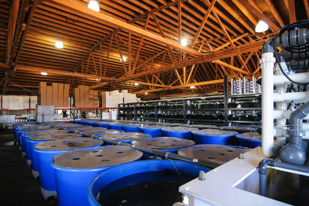 Another behind-the-scenes look at Quality Marine, which is recognized for its commitment to animal welfare within the aquarium trade.