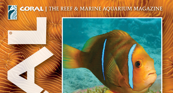 CORAL Magazine Table of Contents November/December 2025