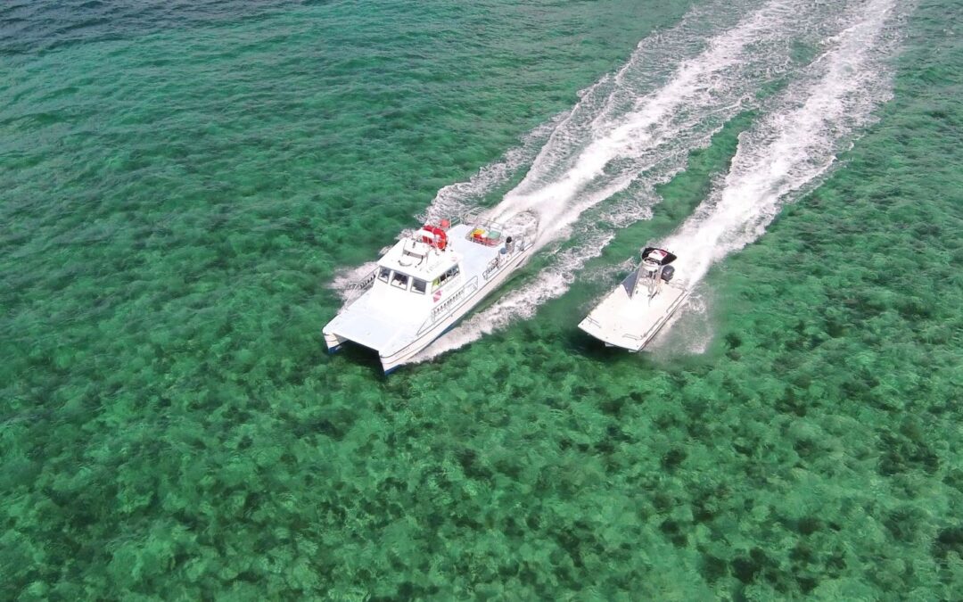 Introducing FloridaReefFish:A New Chapter for Florida’s Marine Life Fishery