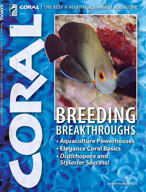 CORAL Magazine Volume 18, Issue 3, Host Anemones