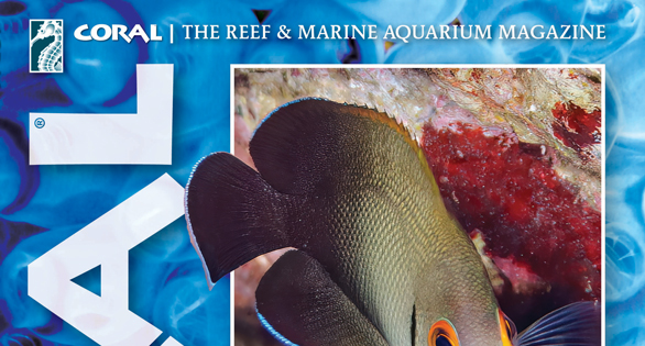 CORAL Magazine Table of Contents January/February 2026