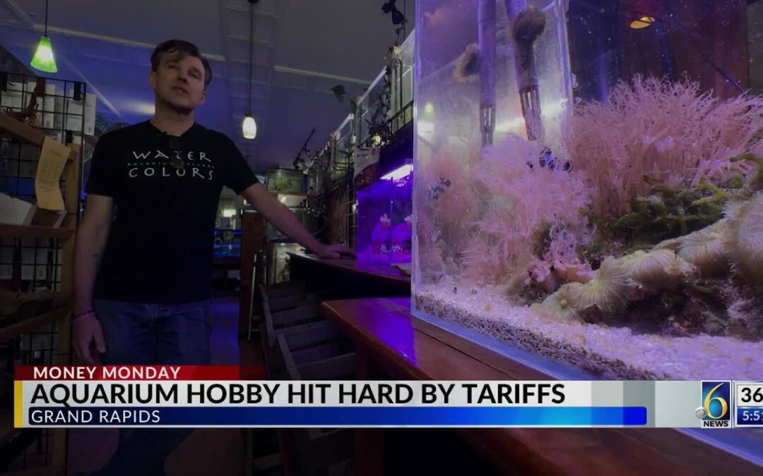 VIDEO: State of the Aquarium Hobby: Watercolors Aquarium Gallery on WLNS-TV CBS News