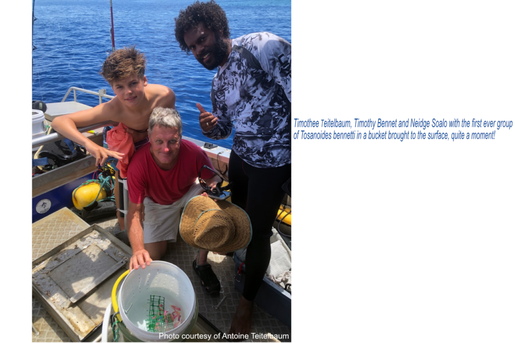 Timothee Teitelbaum, Timothy Bennett, and Neidge Soalo, with the first-ever group of Tosanoides bennetti brought to the surface, held in a bucket—quite a moment!