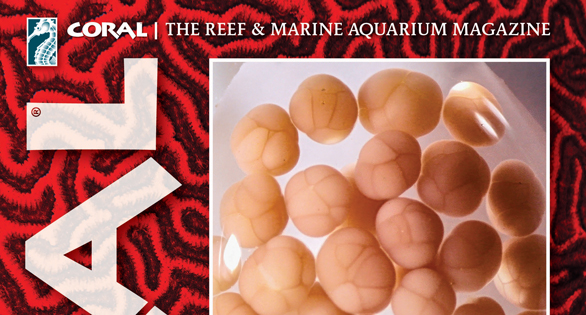 CORAL Magazine Table of Contents March/April 2026