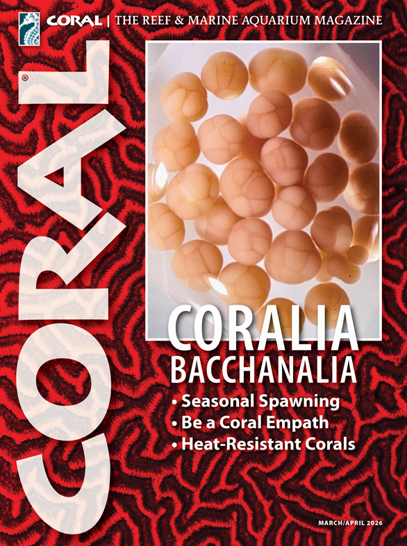 CORAL Magazine Volume 18, Issue 3, Host Anemones