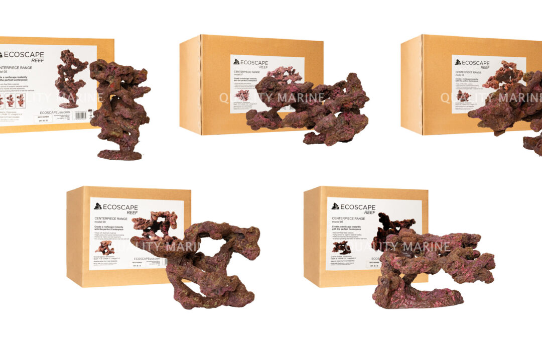 Ecoscape Reef Rock Expands Centerpiece Series