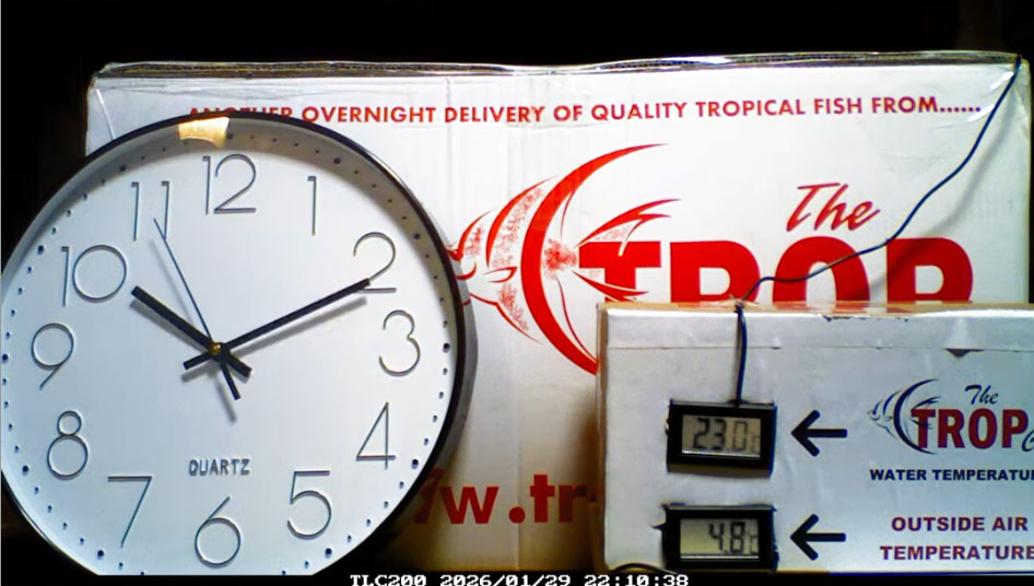 VIDEO: What Happens When Fish Are Shipped Properly