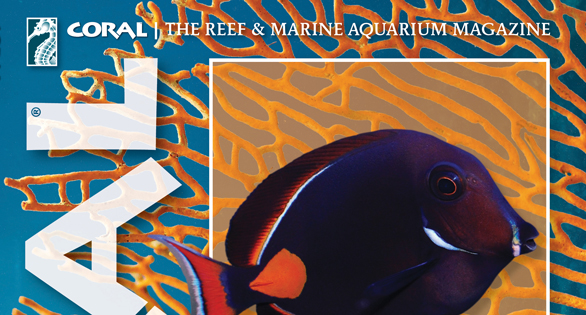 CORAL Magazine Table of Contents May/June 2026