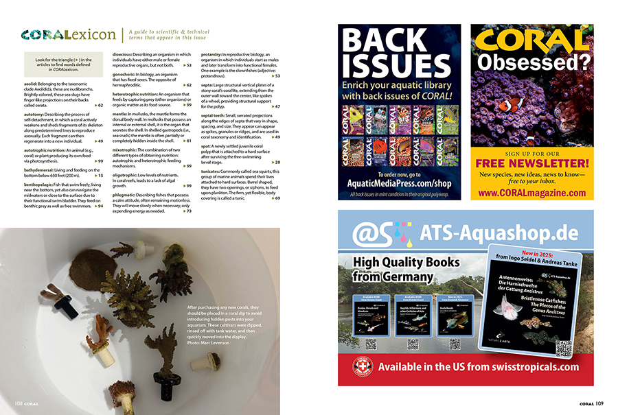 CORALexicon dives into the technical terms of each issue of CORAL Magazine, May/June 2026.