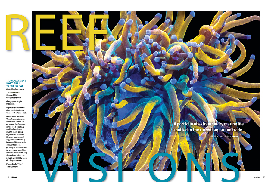 Reef Visions, CORAL Magazine, May/June 2026.