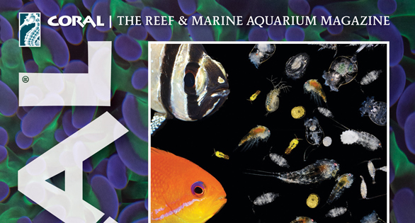 CORAL Magazine Table of Contents July/August 2026