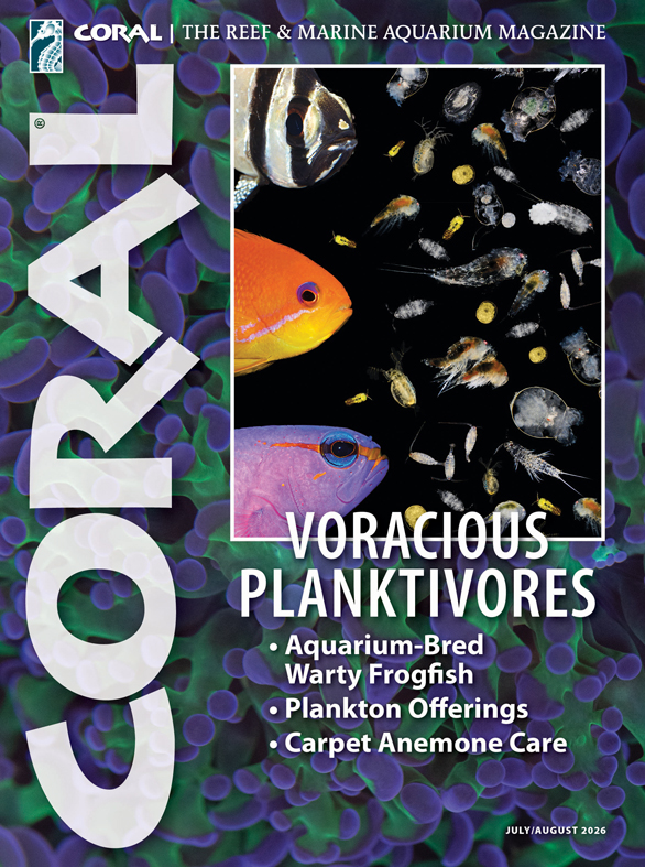 C23.4_586x787 CORAL Magazine Volume 18, Issue 3, Host Anemones