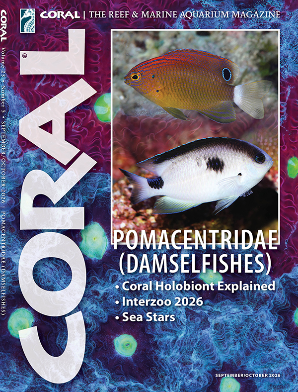 CORAL Magazine Volume 18, Issue 3, Host Anemones
