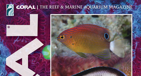 CORAL Magazine Table of Contents September/October 2026